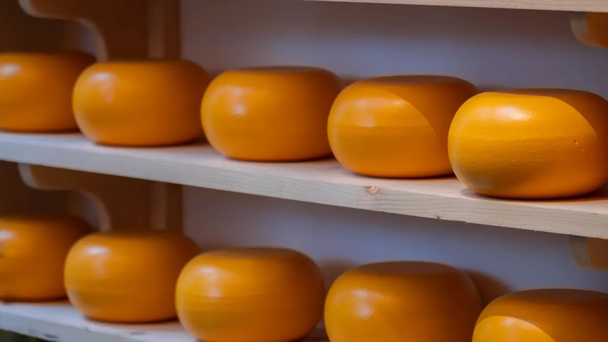 Babybel : oui, sans souci pendant la grossesse