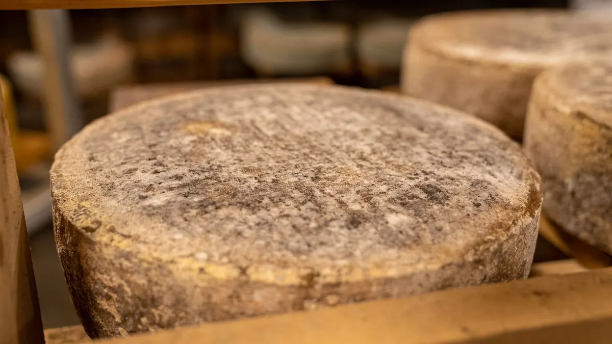 Comté : oui, sans souci pendant la grossesse