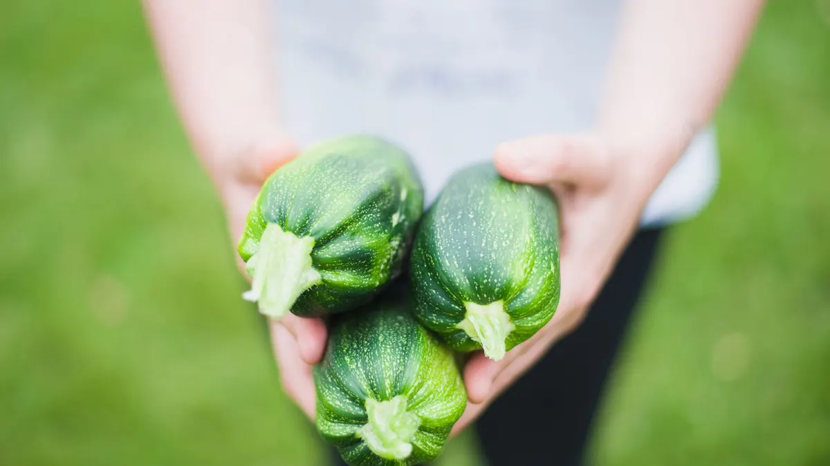 Courgette pour bébé : introduction dès 4-6 mois