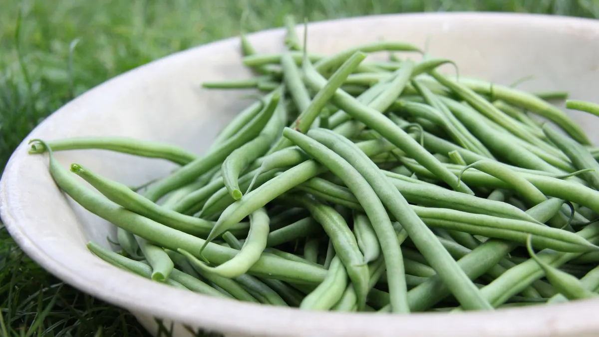 Haricots verts pour bébé : introduction dès 4-6 mois