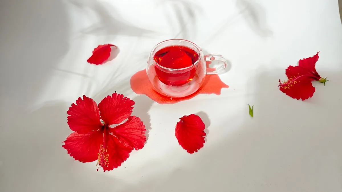 Hibiscus : non, à éviter pendant la grossesse