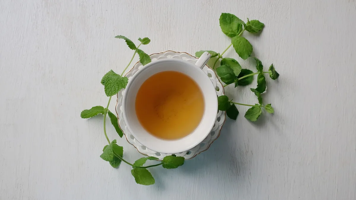 Menthe : oui, à condition pendant la grossesse