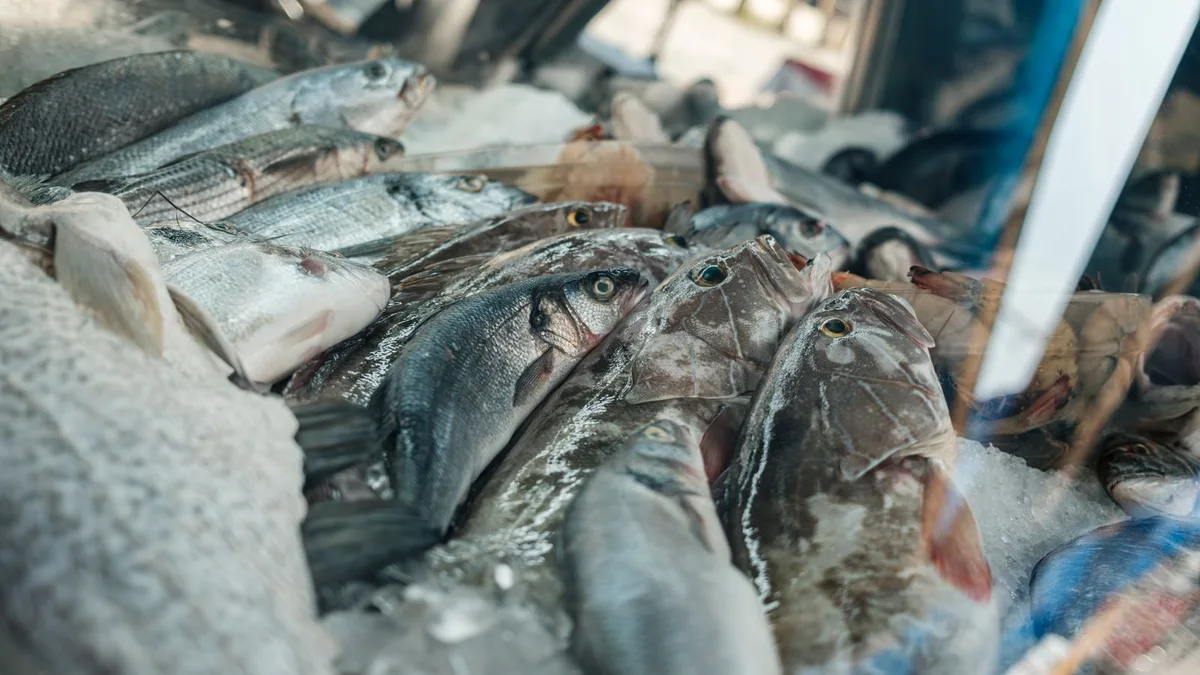 Poisson : oui, à condition pendant la grossesse