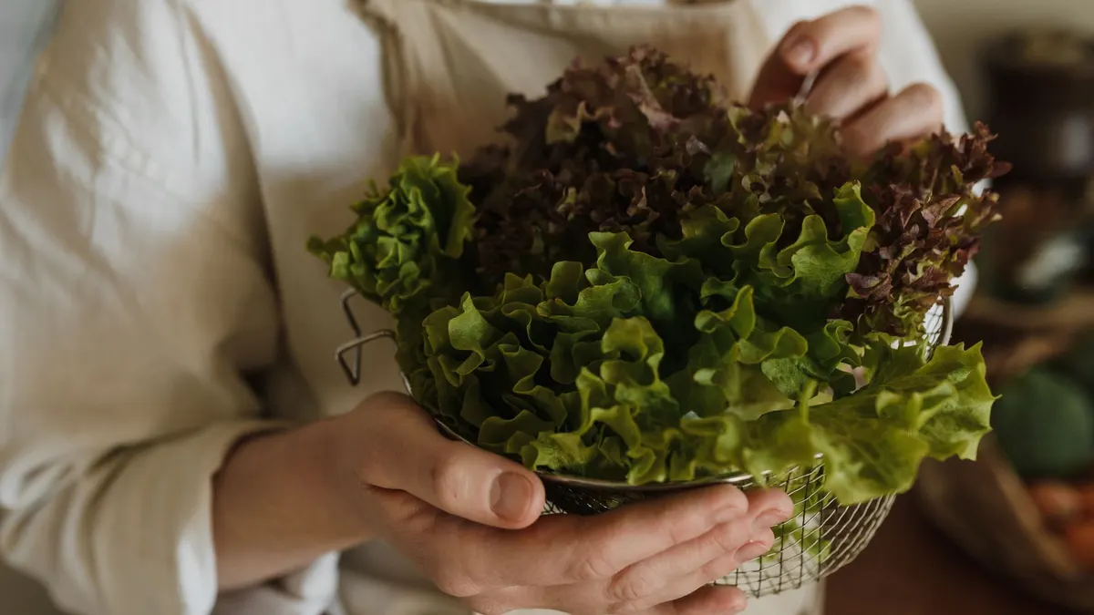 Salade verte : oui, à condition pendant la grossesse