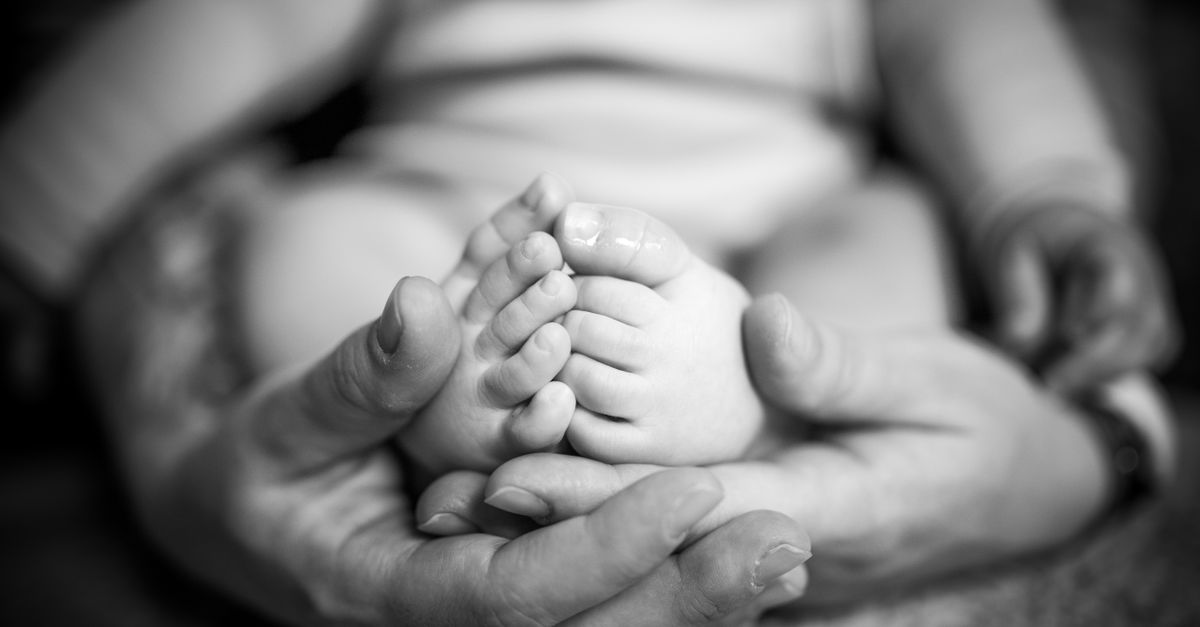 Mains adultes enveloppant les pieds d'un nouveau-né, photo en noir et blanc