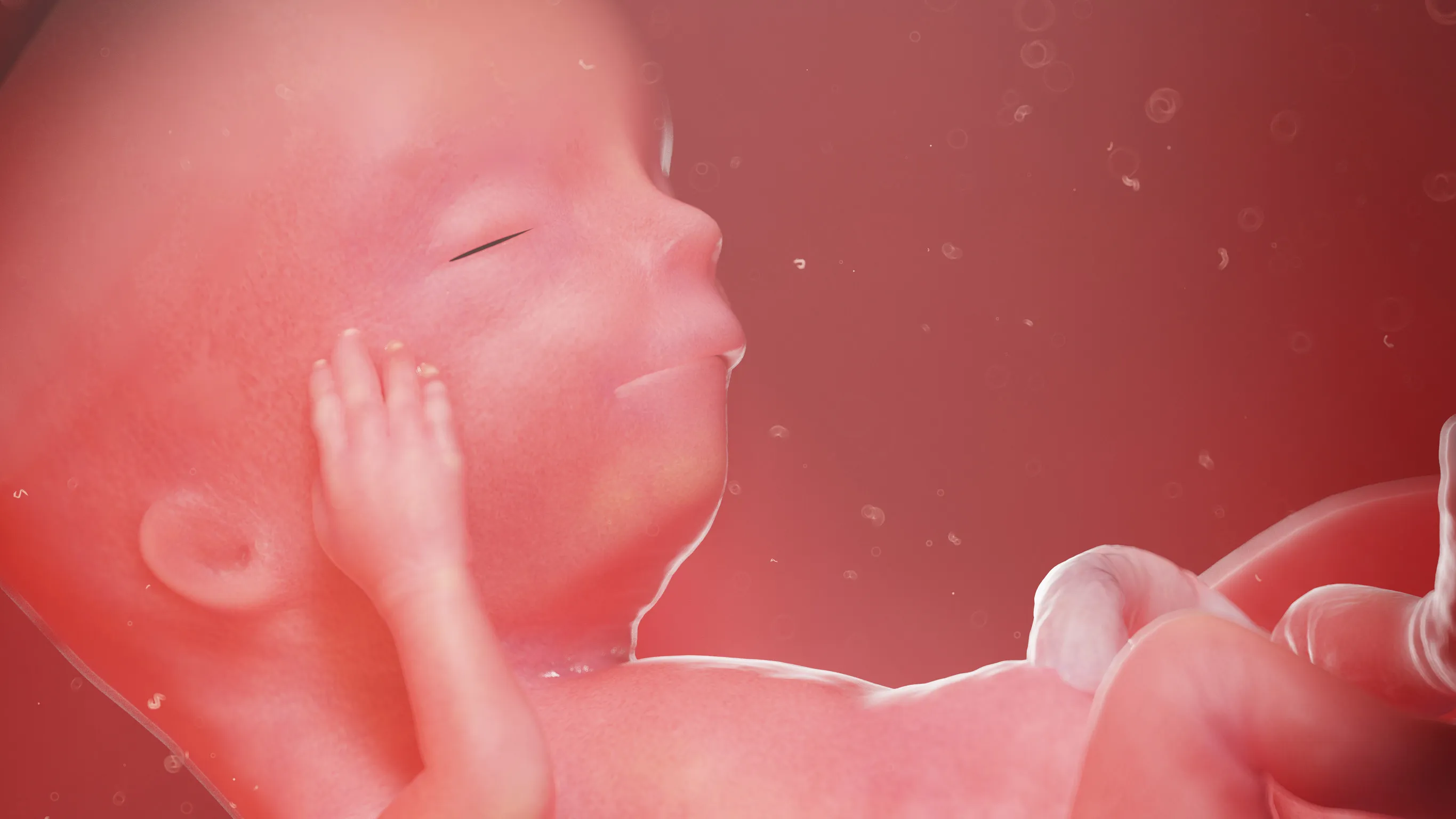 Développement du bébé semaine 13