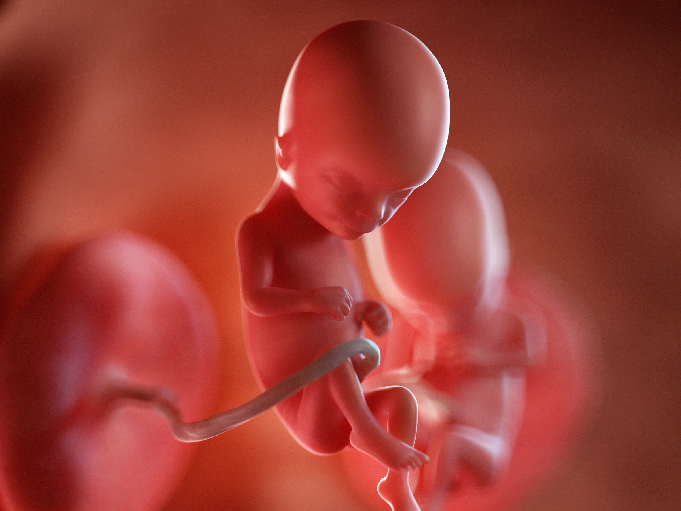 Développement du bébé semaine 15