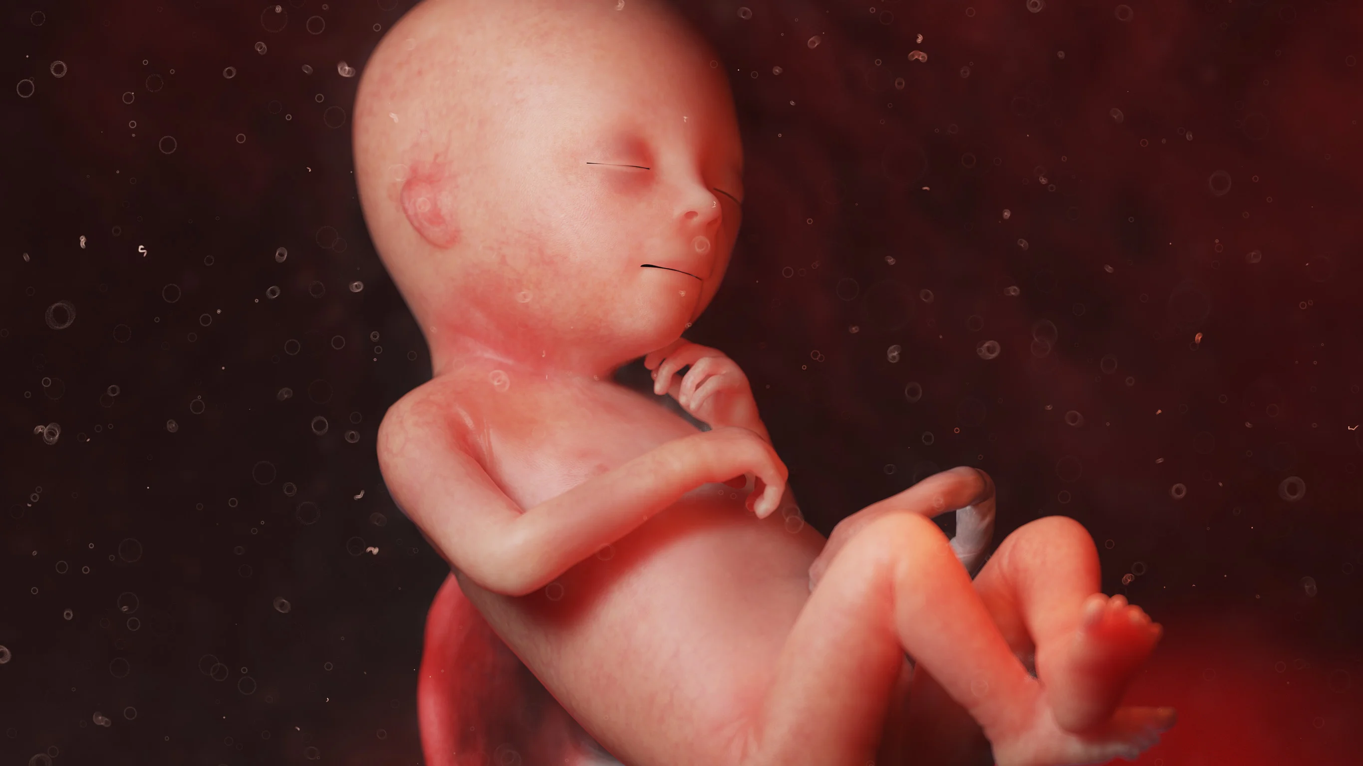 Développement du bébé semaine 18