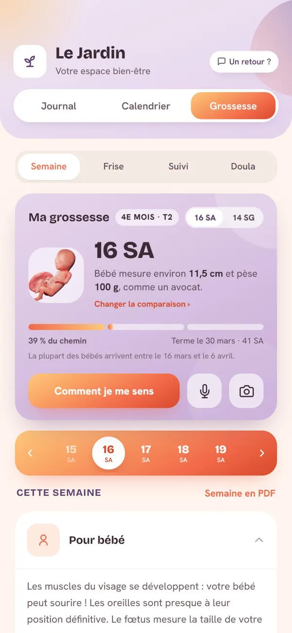 Écran Grossesse du Jardin dans l'application Mira : 16 SA, bébé de la taille d'un avocat