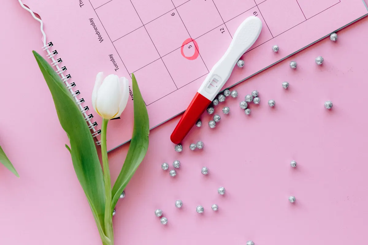 Calendrier rose avec une date entourée et un test de grossesse posé dessus