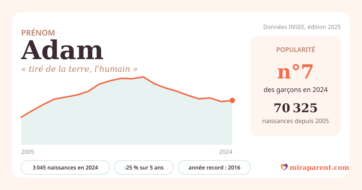 Courbe du prénom Adam : naissances par an de 2005 à 2024 selon l'INSEE, signification « tiré de la terre, l'humain », 3 045 naissances en 2024, rang 7