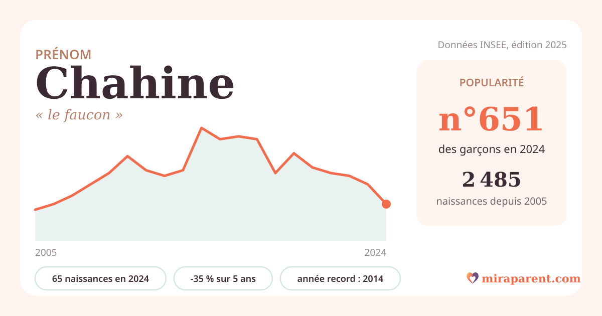 Courbe du prénom Chahine : naissances par an de 2005 à 2024 selon l'INSEE, signification « le faucon », 65 naissances en 2024, rang 646
